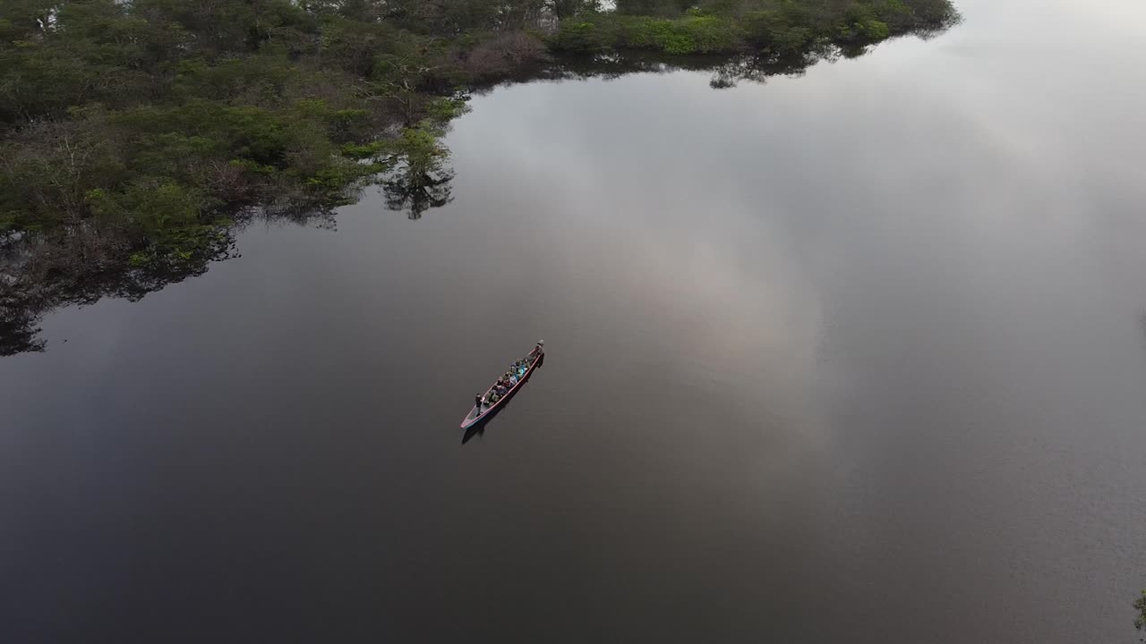 Aerial orbit of boat in Amazon Rainforest Basin in Cuyabeno Ecuador. Drone shot of rainforest in Cuyabeno Reserve. Wet season.