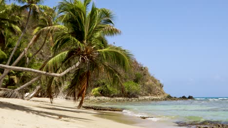 fondo de playa tropical pintoresca de st