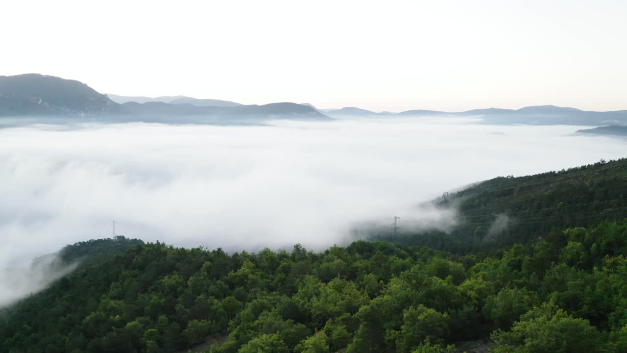 드론과 함께 전진하는 숲과 구름