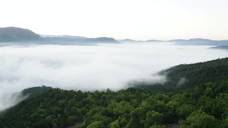 forest and cloud in forward traveling with the drone