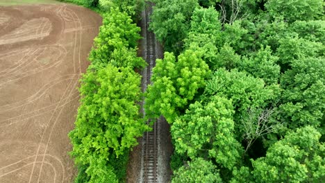 Vista-Aérea-De-Una-Vía-Férrea-Que-Recorre-El-Borde-Del-Bosque-Verde-Brillante-En-Primavera