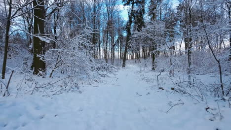 Low-Aerial-Flying-Over-Snow-Covered-Path-Through-Woodland-With-Single-Tyre-Track-And-Footprints