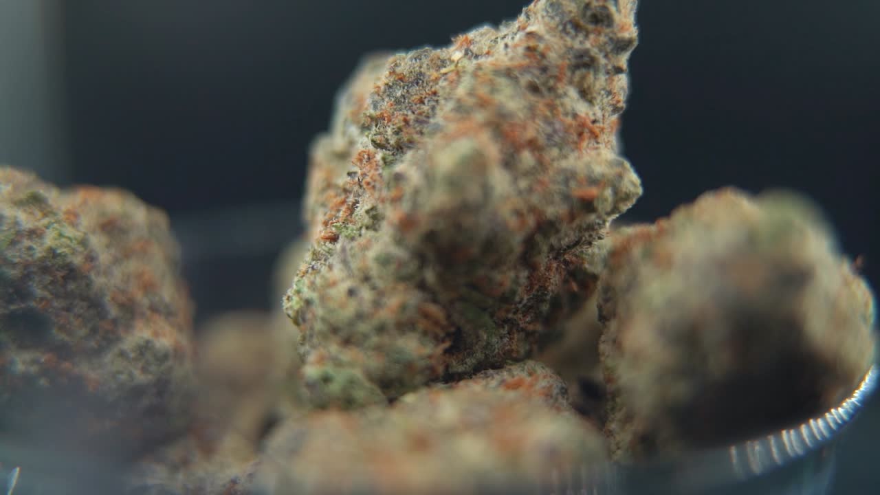 A macro close up DOP shot of a cannabis plant, marijuana flower, hybrid strains, Indica and sativa, on a 360 rotating stand in a black shiny bowl, 120 fps slow motion Full HD, pro studio lighting