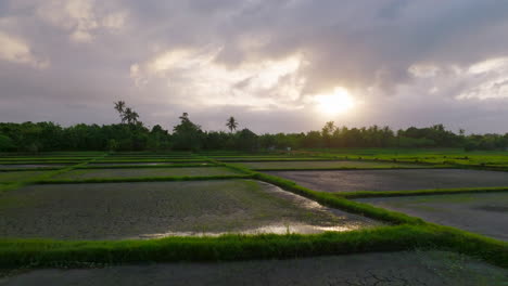 Aerial-drone-shot-of-dry,-cracked-rice-fields-with-no-rice-growing-on-cloudy-day