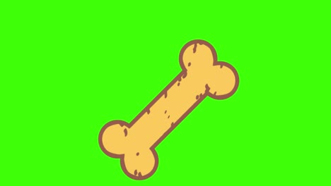 animation of a bone icon on a green screen