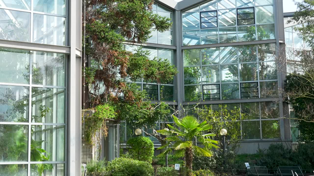 Tropiske planter og palmetræer spejlet i en dam inde i Palmengarten drivhuset i Frankfurt med glaskonstruktion og frodigt grønt.