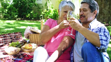 una pareja de ancianos bebiendo vino