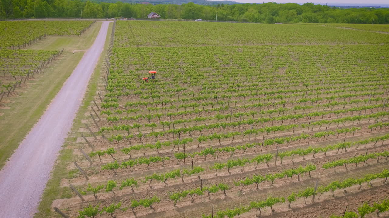 Tractor working between the rows in a vineyard field