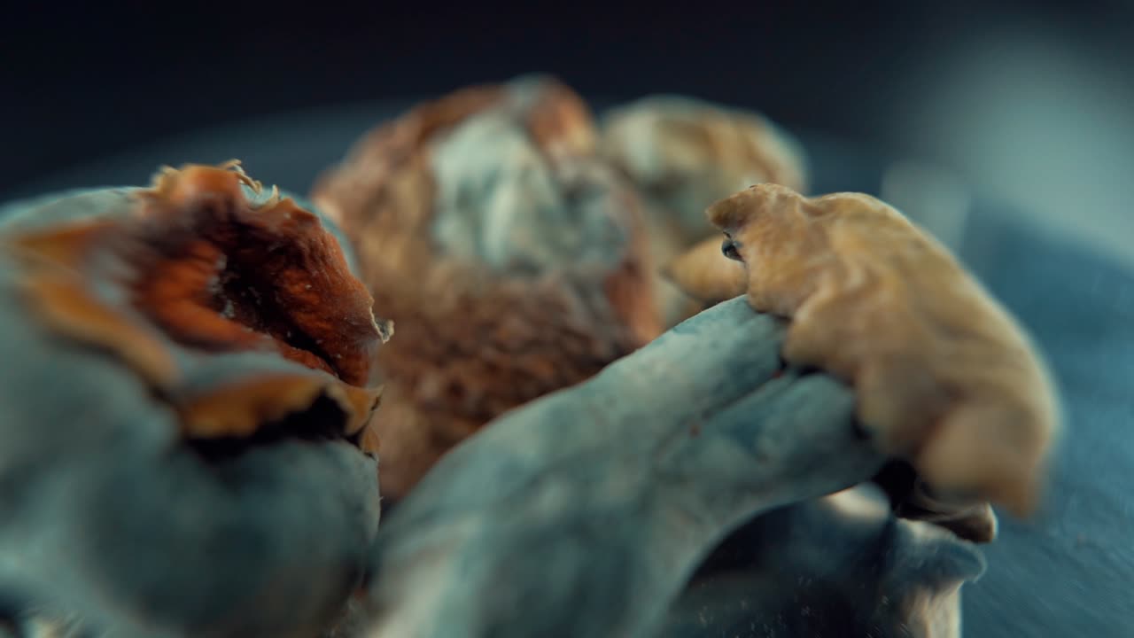 A Macro cinematic shot of a 3 magical psychoactive psilocybin hallucination dried mushroom with a yellow red cap, on a rotating reflecting stand, studio lighting, Full HD, slow motion 120fps