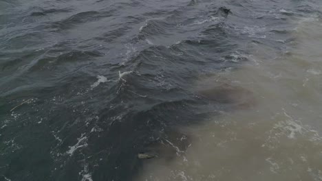 meeting of two rivers in the amazon, the negro river and the solimoes river, water mixture closeup