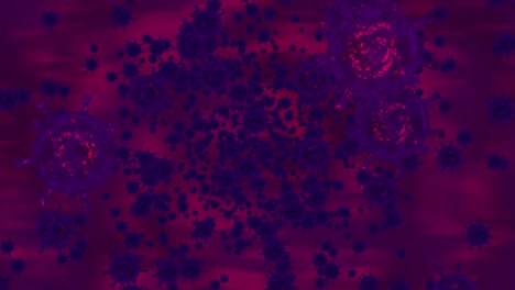 fondo digital de virus en movimiento en colores rojos oscuros, animación de bucle de imágenes 4k