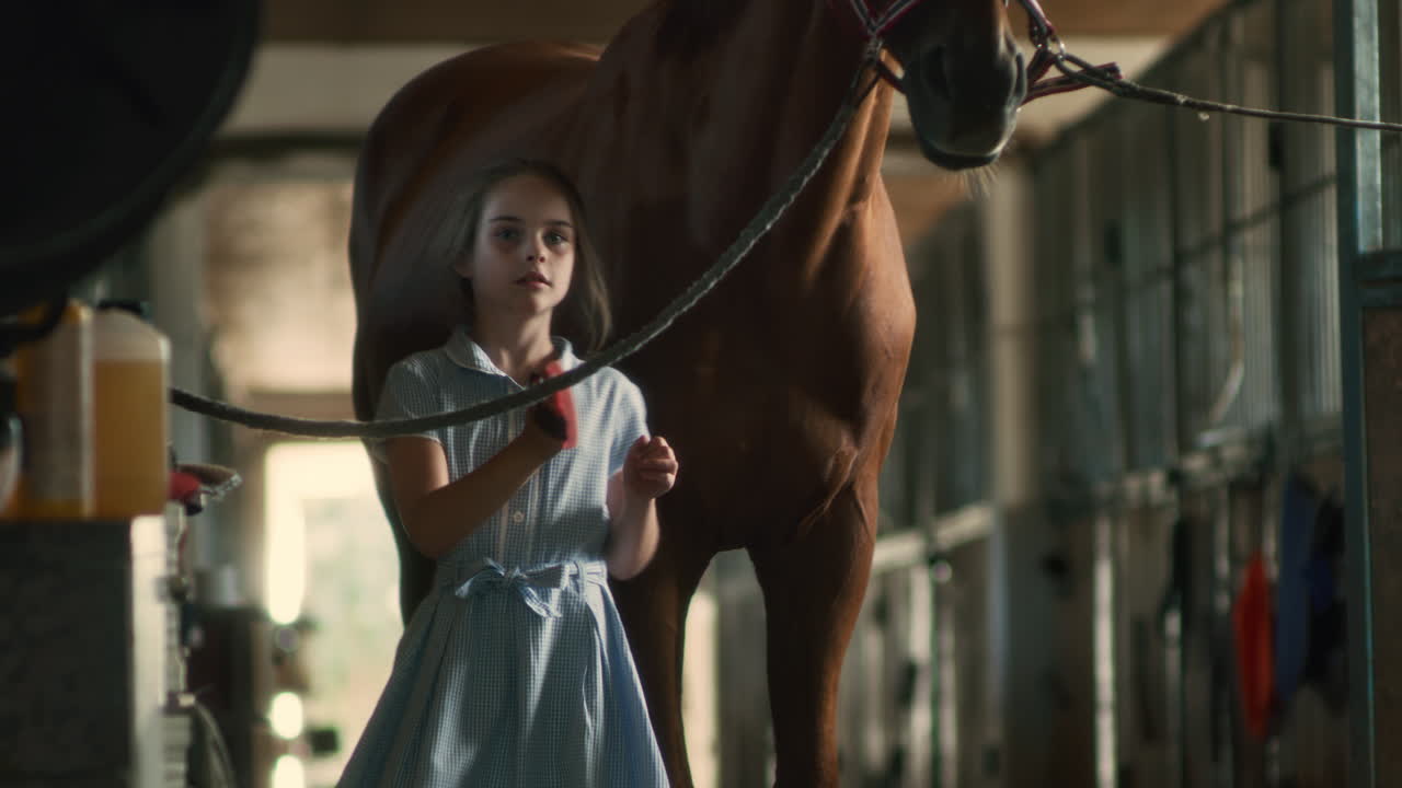 Girl grooming a horse in a stable