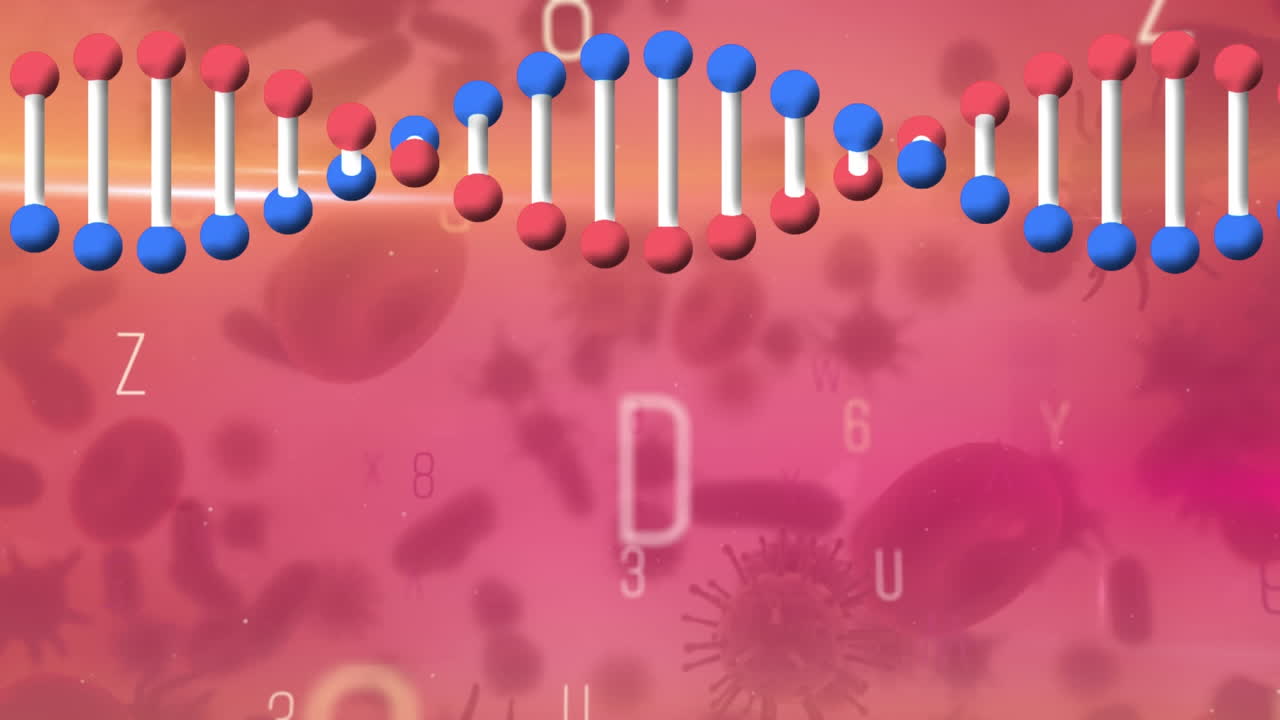 Animazione di un filamento di DNA 3D rotante, che ruota su lettere e cellule in movimento su sfondo rosa