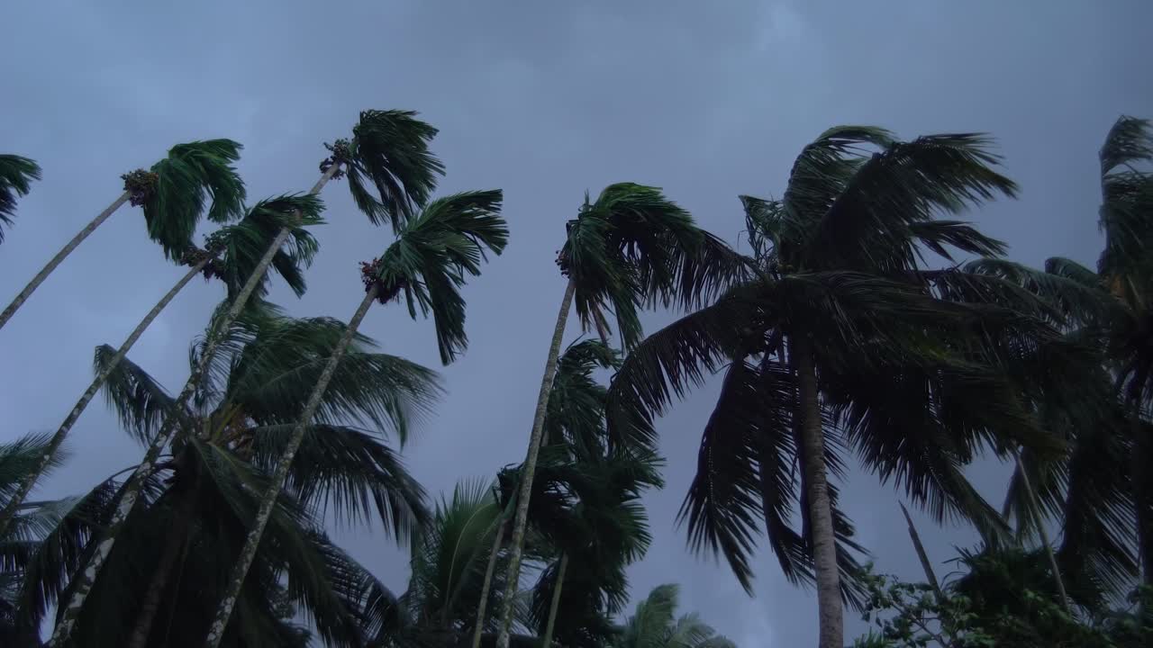 비가 내리기 전에 하늘이 흐리다
