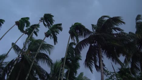 de lucht is bewolkt voordat het regent