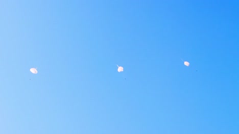 military aircraft releases parachutists during a coordinated air drop, with white parachutes opening mid-air against a clear blue sky. captured during a military nato exercise