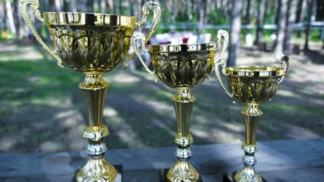 gold trophies outdoors