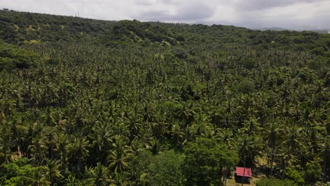 Drone-footage-of-Virgin-Beach-and-its-verdant-surroundings-in-Karangasem,-Bali,-Indonesia