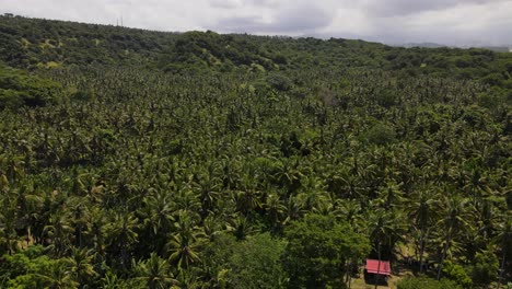imágenes de drones de la playa virgen y sus alrededores verdes en karangasem, bali, indonesia