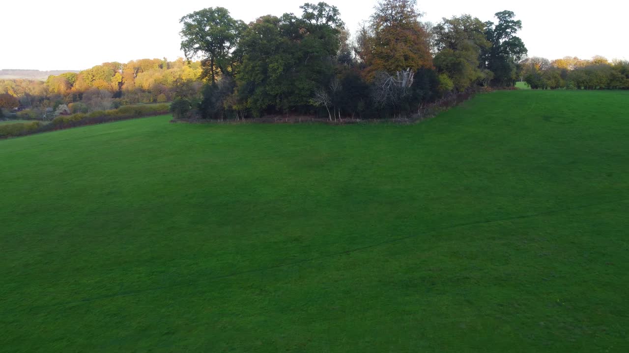 drone aéreo empujando tiro en campo inglés hacia árboles de otoño 4k