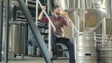 young brewer wearing a leather apron is tasting beer at a modern brewery