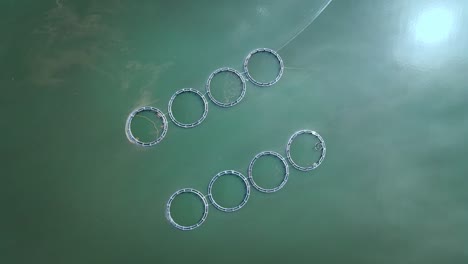 생선 농장 트로트 수산업 물 떠있는 케이지