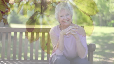 animation of glowing light over happy senior woman sitting on bench in park