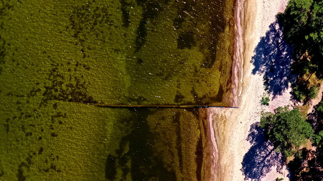 Aerial view of beach with trees and shallow sea water at Baltic Sea coast