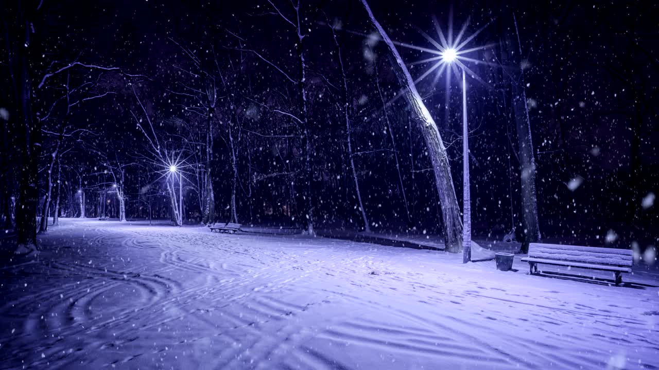 invierno en un parque (bucle)
