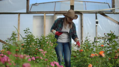 Gärtnerin-Mit-Hut-Auf-Der-Suche-Nach-Blumen.-Ein-Moderner-Florist-Nutzt-Einen-Tablet-Computer,-Um-Den-Blumenertrag-Zu-Analysieren