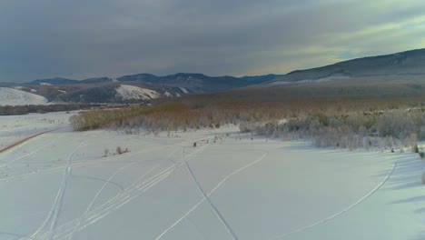 aerial view of snowy mountains and forest in winter