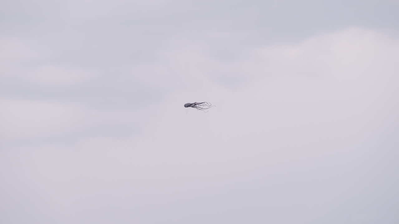 Static shot of a large squid-shaped kite drifting in the cloudy desert sky during a festival, its long tentacles trailing in the wind