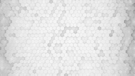 fondo animado blanco en 3d con células de panal en movimiento aleatorio, bucle sin costuras