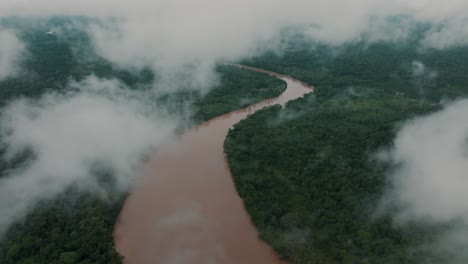 narrow amazon river and vast rainforest in ecuador - aerial shot