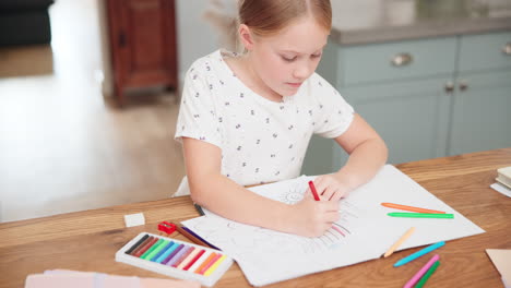 creative, learning and girl with drawing