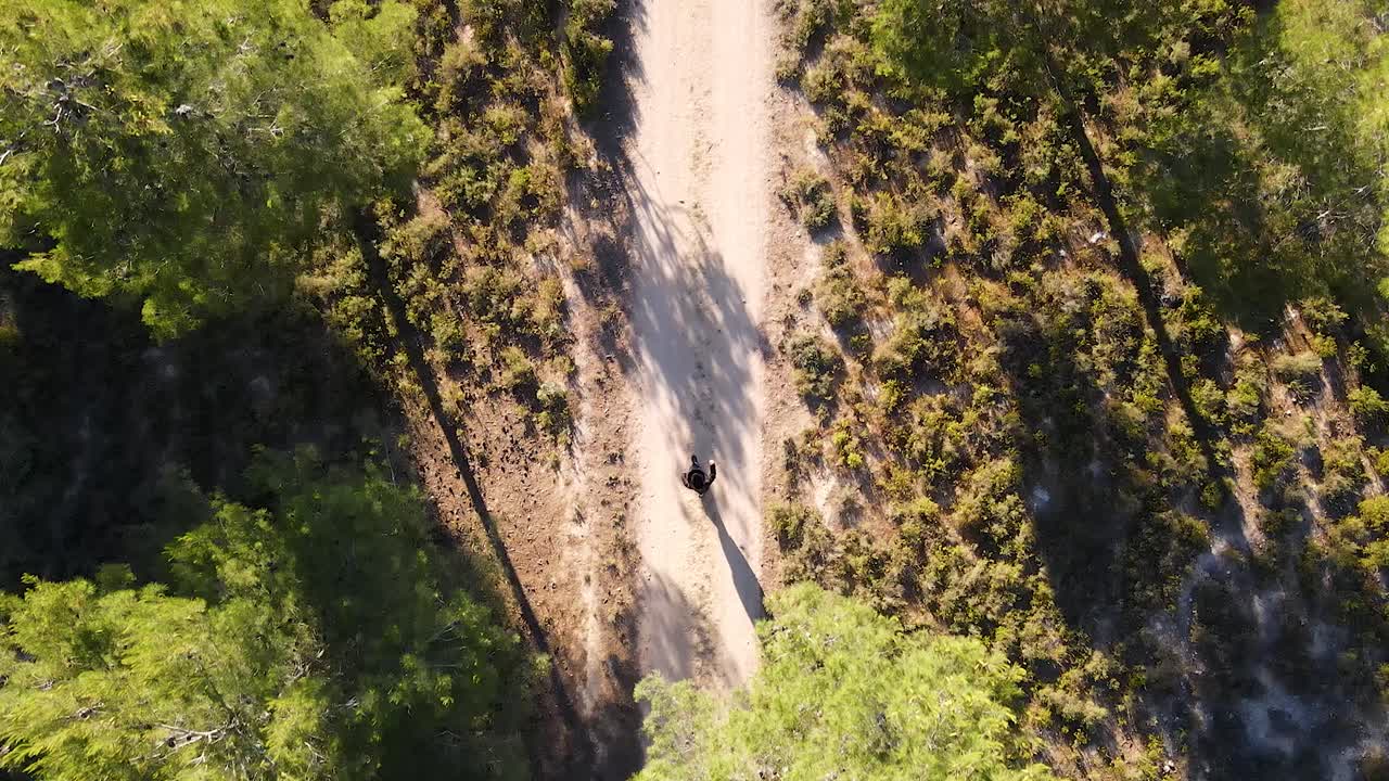 Top shot of a man walking on a path in the forest in 4K_1