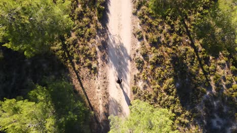toma superior de un hombre caminando por un sendero en el bosque en 4k_1