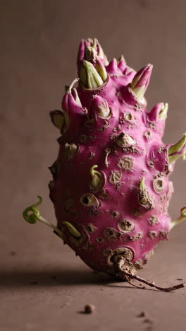 close-up of a unique sprouting purple plant