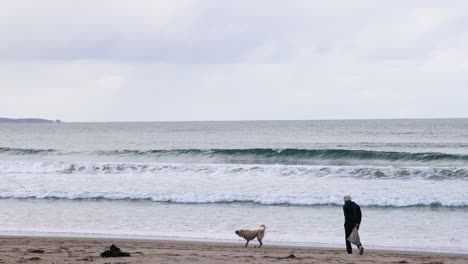 a woman walks her dog along the beach