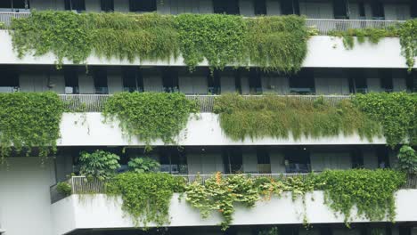 building with plants growing on the facade