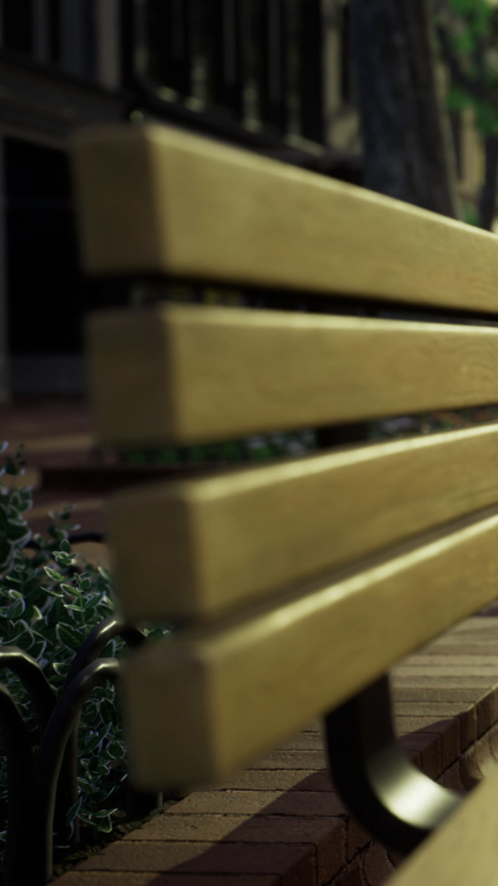 Bench in urban area beside plants during evening time