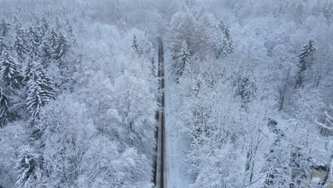 aerial view on the road and forest at winter time - natural winter landscape from air - aerial drone shot