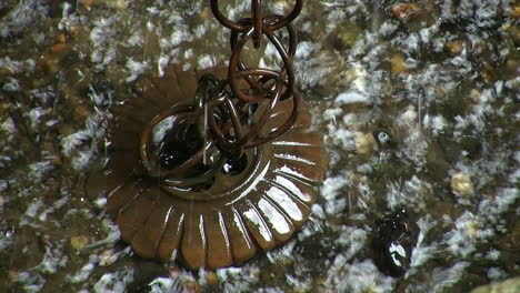 the bottom end of a japanese rain chain, or kusari-doi