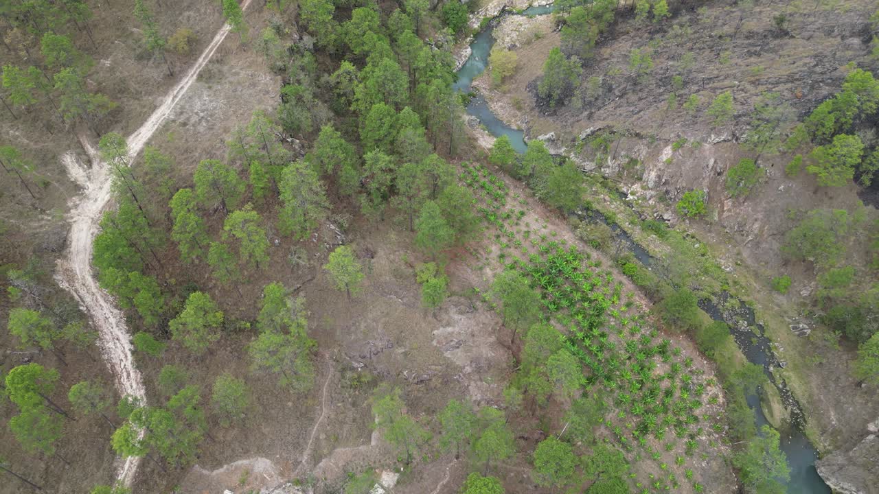 Drone shot of rural agriculture and natural water stream through forest hills, Honduras