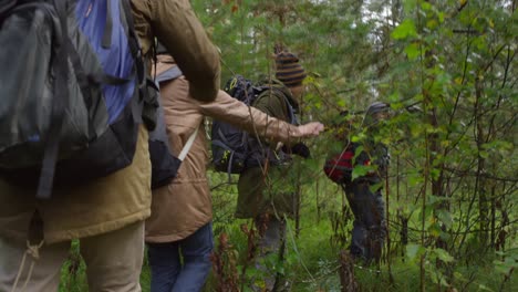 Gruppe-Männlicher-Und-Weiblicher-Wanderer-Mit-Rucksäcken,-Die-Am-Herbsttag-Durch-Den-Wald-Gehen