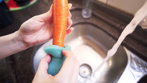 female hands washing some carrots under water from a kitchen tap with a sponge in slow motion