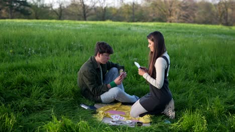Couple Playing Cards in a Park