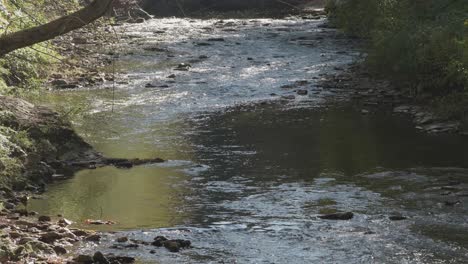 rippled water of the wissahickon creek