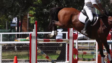 a horse and rider skillfully leap over a red and white obstacle in an outdoor setting.