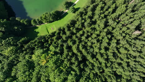 Aerial-shot-of-a-lake-with-emerald-green-water-top-down-view